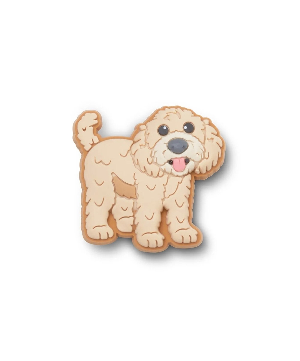 Jibbitz Crocs Filhote Golden Doodle MULTICOLOR