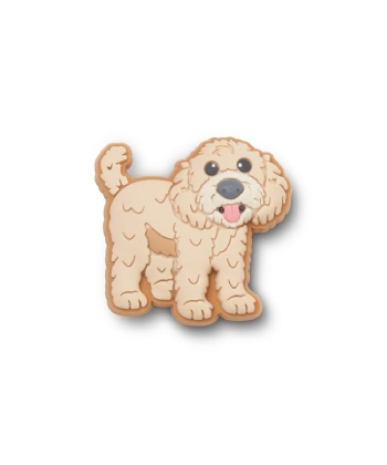 Jibbitz Crocs Filhote Golden Doodle MULTICOLOR