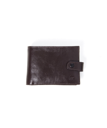 Carteira Masculina Fontanelli 202 Couro CAFÉ